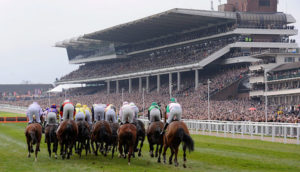 Cheltenham Horse Racing Trends & Tips: Sunday 18th Nov 2018